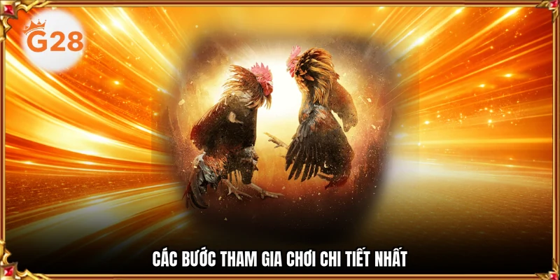 Các bước tham gia chơi chi tiết nhất